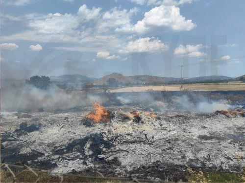 Υπό πλήρη έλεγχο η πυρκαγιά στα Βίλια Αττικής