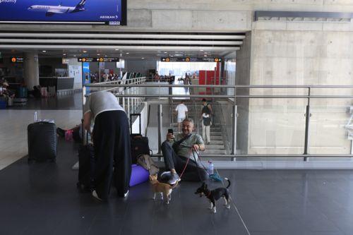 Είκοσι τέσσερις ειδικές πτήσεις σήμερα από Λάρνακα προς Ισραήλ και Ιορδανία