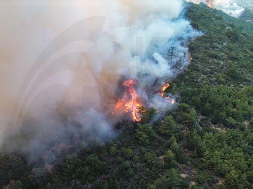 Επιπλέον 650 πυροσβέστες σε καίρια σημεία σε Γαλλία, Ελλάδα, Πορτογαλία, Ισπανία