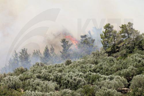 Επιχειρήσεις πυρόσβεσης από νωρίς το πρωί στην Ιεράπετρα, σε επιφυλακή στη Ραφήνα
