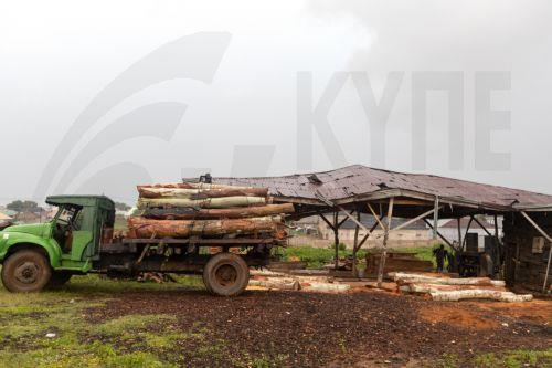 Εννέα αγρότες σκοτώθηκαν στη Νιγηρία από συμμορία στην πολιτεία Ζάμφαρα