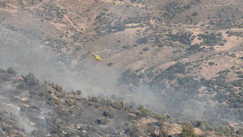 Στάχτη το ελαιοχώρι μεταξύ Πενταλιάς και Γαλαταριάς, λέει στο ΚΥΠΕ ο Σ. Ιεζεκιήλ