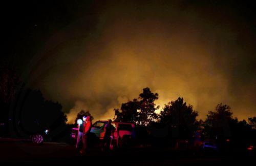 Έως και 50 χρόνια για αποκατάσταση άγριας ζωής στα καμένα, λένε ειδικοί στη Βουλγαρία
