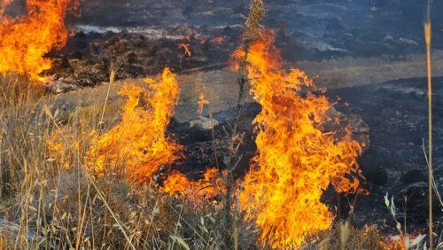 Κλιμάκιο της ΑΗΚ στο Κέντρο Συντονισμού, λέει στο ΚΥΠΕ η εκπρόσωπος Τύπου της ΑΗΚ, δίνει την εικόνα