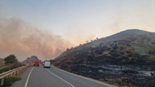 Firefighting operations in Limassol and Paphos in full swing, Spokesperson says