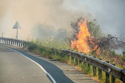 Οδηγούνται με ασφάλεια εκτός περιοχής οι κάτοικοι που είχαν εγκλωβιστεί στη Λόφου, λέει ο Εκπρόσωπος