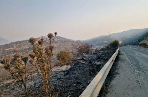 «Καθαρό το τοπίο» στα πύρινα μέτωπα Πάχνας και Μανδριών σύμφωνα με όσα δήλωσαν στο ΚΥΠΕ οι κοινοτάρχες