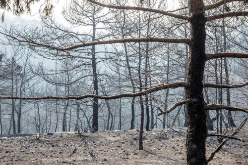 يوم حار آخر  تشهده قبرص مع ارتفاع درجات الحرارة إلى 44 درجة مئوية