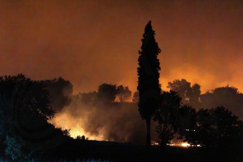 إدارة الغابات تصدر تحذيراً  ليوم السبت تحسباً من خطر حرائق الغابات