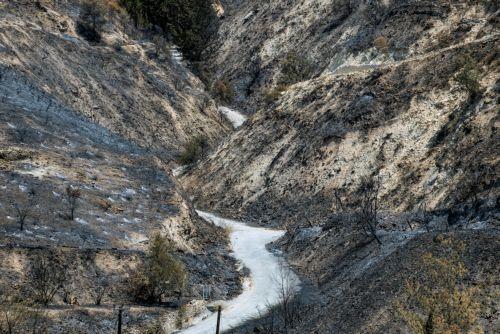 Αποκατάστασης πυρόπληκτης περιοχής Λαόνας από την ΑΚΤΗ με στήριξη Chevron
