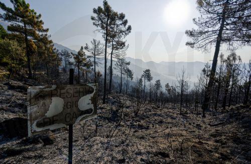 Συζήτηση για πρόληψη και ετοιμότητα μετά τους καύσωνες, πυρκαγιές και ξηρασίες στο ΕΚ
