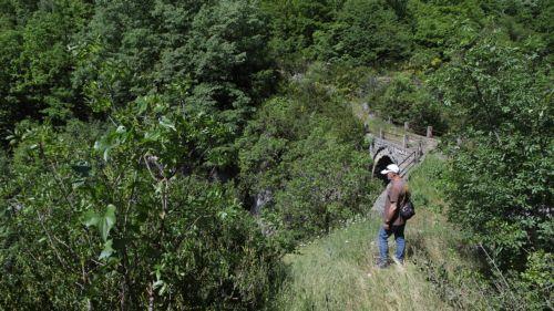 Προσοχή στις εξορμήσεις στη φύση για δαγκώματα φιδιών εφιστά η Πολιτική Άμυνα