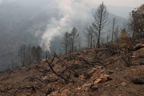 Μαίνονται πυρκαγιές σε έξι επαρχίες της Τουρκίας, στα Δαρδανέλια κάηκαν επαύλεις
