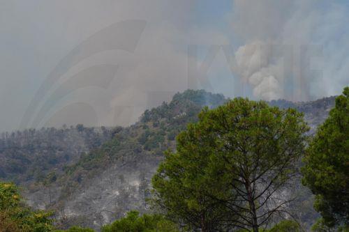 Κινητοποίηση Πολιτικής Προστασίας στην Ιταλία εξαιτίας φωτιάς στον Βεζούβιο