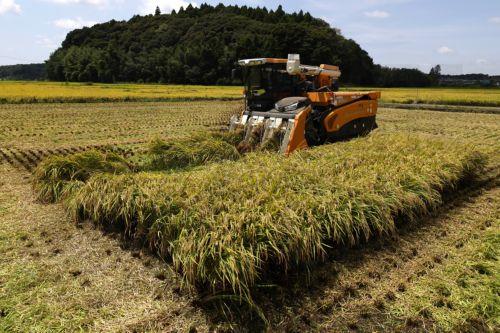 Input prices in agriculture fell by 2.6% in Cyprus according to Eurostat