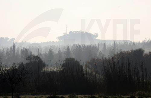 Κάλεσμα ΠτΒ για δράση με αφορμή την Εβδομάδα Προστασίας Δασών