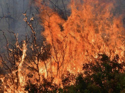 Υπό πλήρη έλεγχο δασική πυρκαγιά σε περιοχή του Δήμου Πόλης Χρυσοχούς