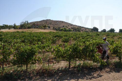 Θεματικά σημεία φωτογράφισης στα κρασοχώρια από την ΕΤΑΛ