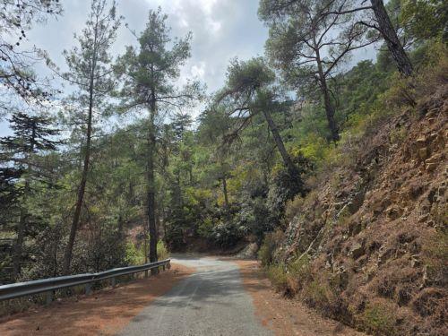 Έκταση δυο εκταρίων έκαψε δασική πυρκαγιά στην κοινότητα Λυσού