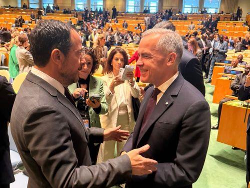 President took part in UN Palestine Conference aiming to advance two-state solution, Spokesperson says