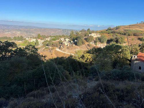 Ξηρά χόρτα και άγρια βλάστηση έκαψε φωτιά στα Πάνω Χολέτρια πριν τεθεί υπό έλεγχο