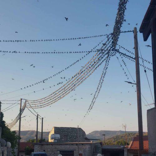 Υπογραφή συμβολαίων για δημιουργία κέντρου ενασχόλησης ηλικιωμένων στα Μέσανα