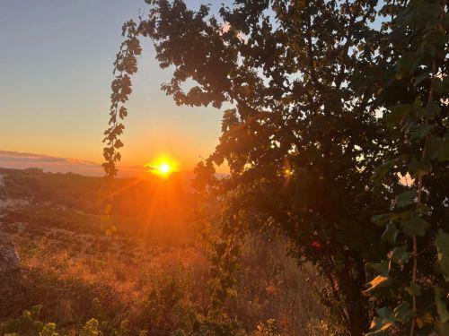 Με φωτογράφηση στους δρόμους της Πάφου ο 11ος Φωτομαραθώνιος Κύπρου