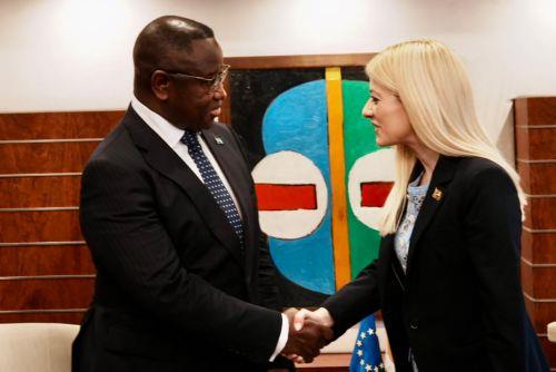 House President and President of Sierra Leone discuss enhancement of bilateral relations