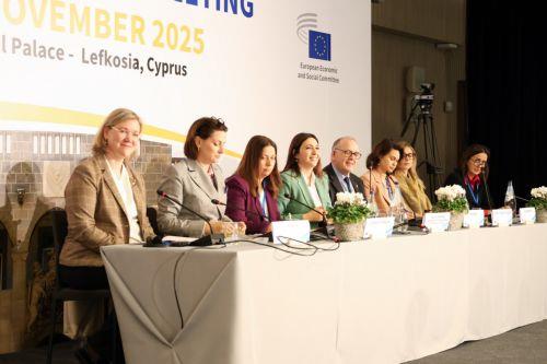 DepMin Raouna briefs EESC Bureau on Cyprus EU Presidency priorities