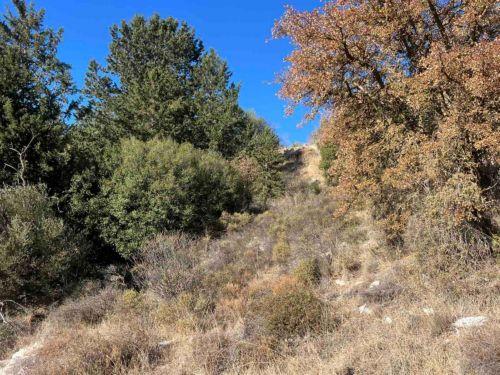 Ενισχύονται οι δυνάμεις πυρόσβεσης για αντιμετώπιση πυρκαγιάς στην επαρχία Πάφου