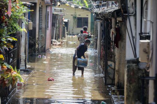 Συλλογή τροφίμων και ρουχισμού για Σρι Λάνκα από Κόμμα για τα Ζώα-Πράσινο Κόμμα