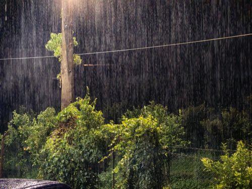 Heavy thunderstorms expected across parts of Cyprus on Saturday