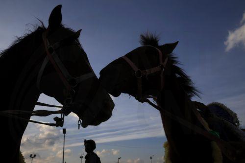 Ουκρανία: Ρώσοι στρατιώτες εθεάθησαν να ιππεύουν άλογα κοντά στην πρώτη γραμμή και να πλήττονται από drones