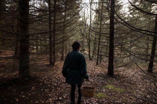 Τα δάση ουσιώδη για τη διαβίωση περίπου 1,6 δις ανθρώπων, λέει ο FAO