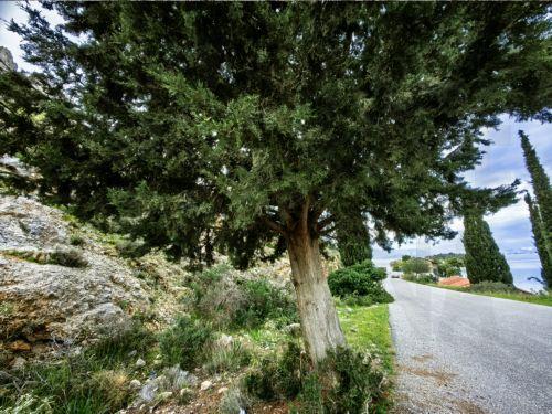 Τα ταξίδια του Ν. Καζαντζάκη γίνονται διαδρομή του Συμβουλίου της Ευρώπης