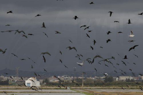 Καταρρακτώδεις βροχές και πλημμύρες στη νότια Ισπανία