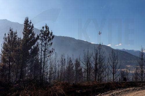 Διαγωνισμός Φωτογραφίας από Τμήμα Δασών για Διεθνή Ημέρα Δασών