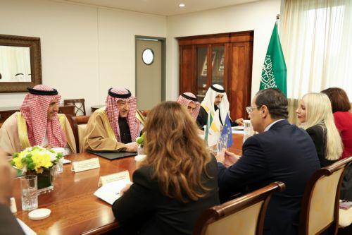 FM holds separate meetings with Saudi Minister and Arab League SG