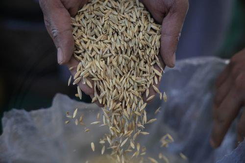 Συντονισμένη απάντηση από Κομισιόν στις επιπτώσεις του πολέμου ζητούν Ευρωπαίοι παραγωγοί