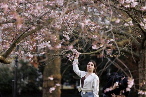 Kıbrıs’ta Hava Durumu