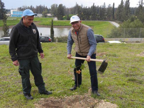 Δεντροφύτευση ΕΟΑ Λεμεσού στο πλαίσιο κοινής δράσης με Τμήμα Δασών