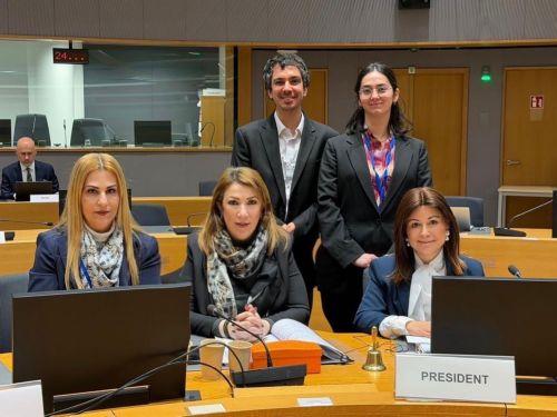 Προήδρευσε Ομάδας Εργασίας της ΕΕ για τα πυροβόλα όπλα η Νομική Υπηρεσία της ΚΔ