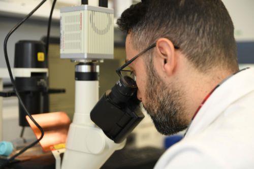 Ερευνητικό έργο ALP-RARE από biobank.cy για θεραπεία σπάνιων νεφροπαθειών