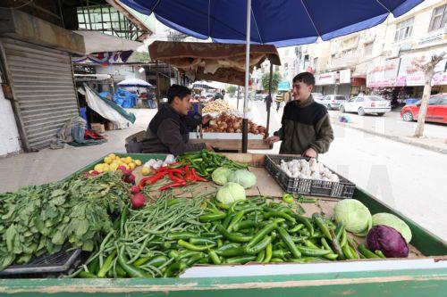 Συγκεκριμένες βιταμίνες αντισταθμίζουν κινδύνους από τοξικότητα στα πλαστικά λέει έρευνα