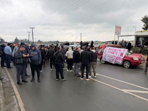 Αγροτικές οργανώσεις ζητούν από ΠτΔ να θέσει θέμα χαλάρωσης πρωτοκόλλου για θανατώσεις ζώων