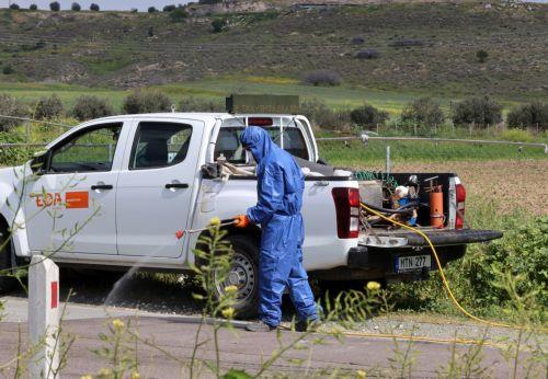 FMD cases stable, tracing-culling continue Veterinary Services say