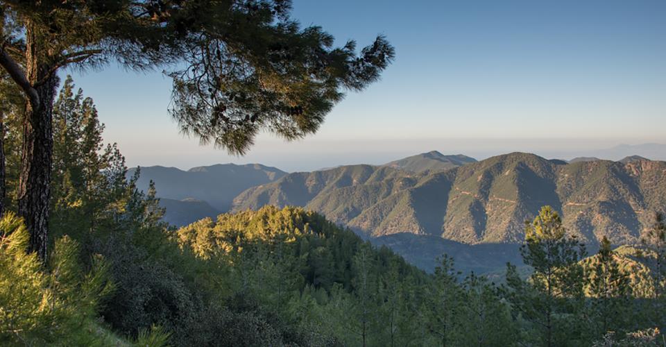 Αναμένεται αύξηση χειμερινών προγραμμάτων μεγάλων διοργανωτών ταξιδίων, είπε...