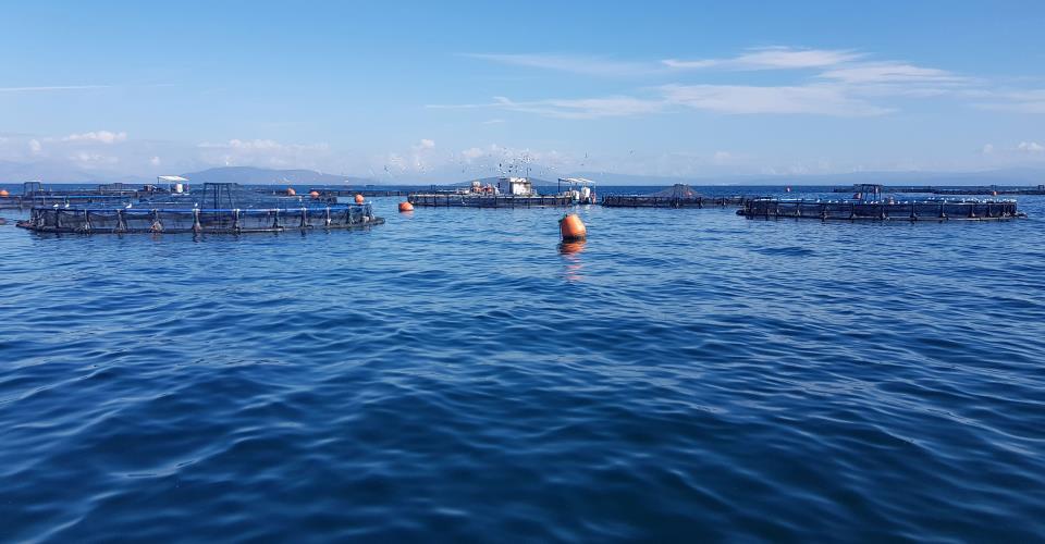 Μείωση 3,4% τουριστικών εσόδων τον Αύγουστο λόγω βρετανικής αγοράς