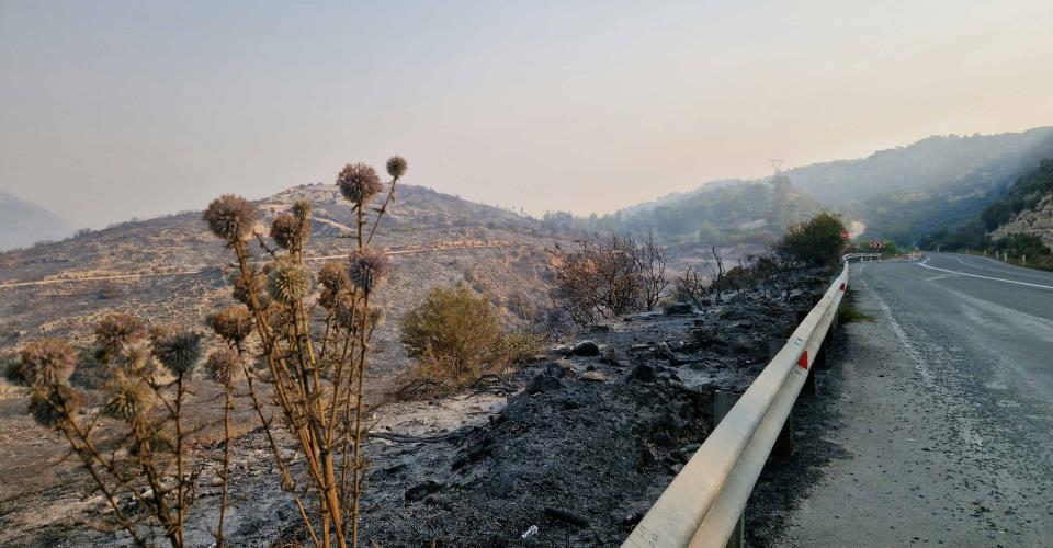 «Σήμερα ίσως η πιο επικίνδυνη ημέρα της αντιπυρικής περιόδου», λέει στο ΚΥΠΕ ο...