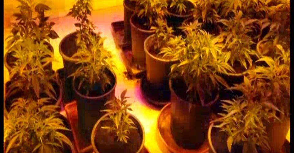 «Απρόβλεπτη» η πραγματική επίπτωση στην υγεία από προϊόντα που πωλούνται ως...